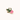 Broche Cactus